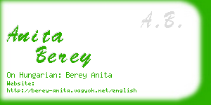 anita berey business card